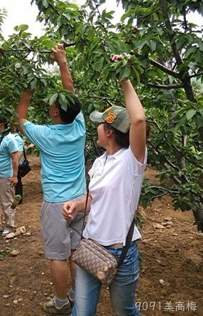 贵阳9091美高梅化工科技开发有限公司